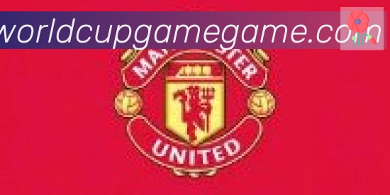 FIFA世界杯买球入口合作伙伴